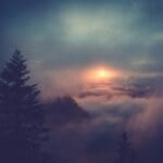 Motivation Services Design