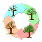 Hacks to Kick Start Discipline